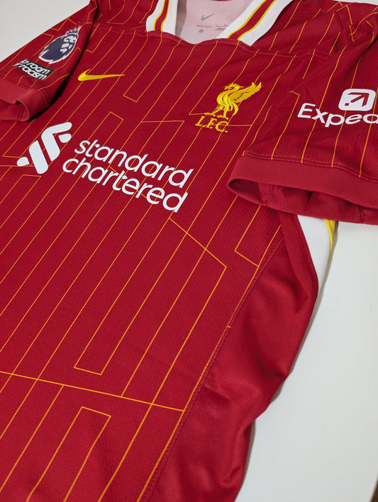 Liverpool #9 Darwin 2024-2025 Home Jersey